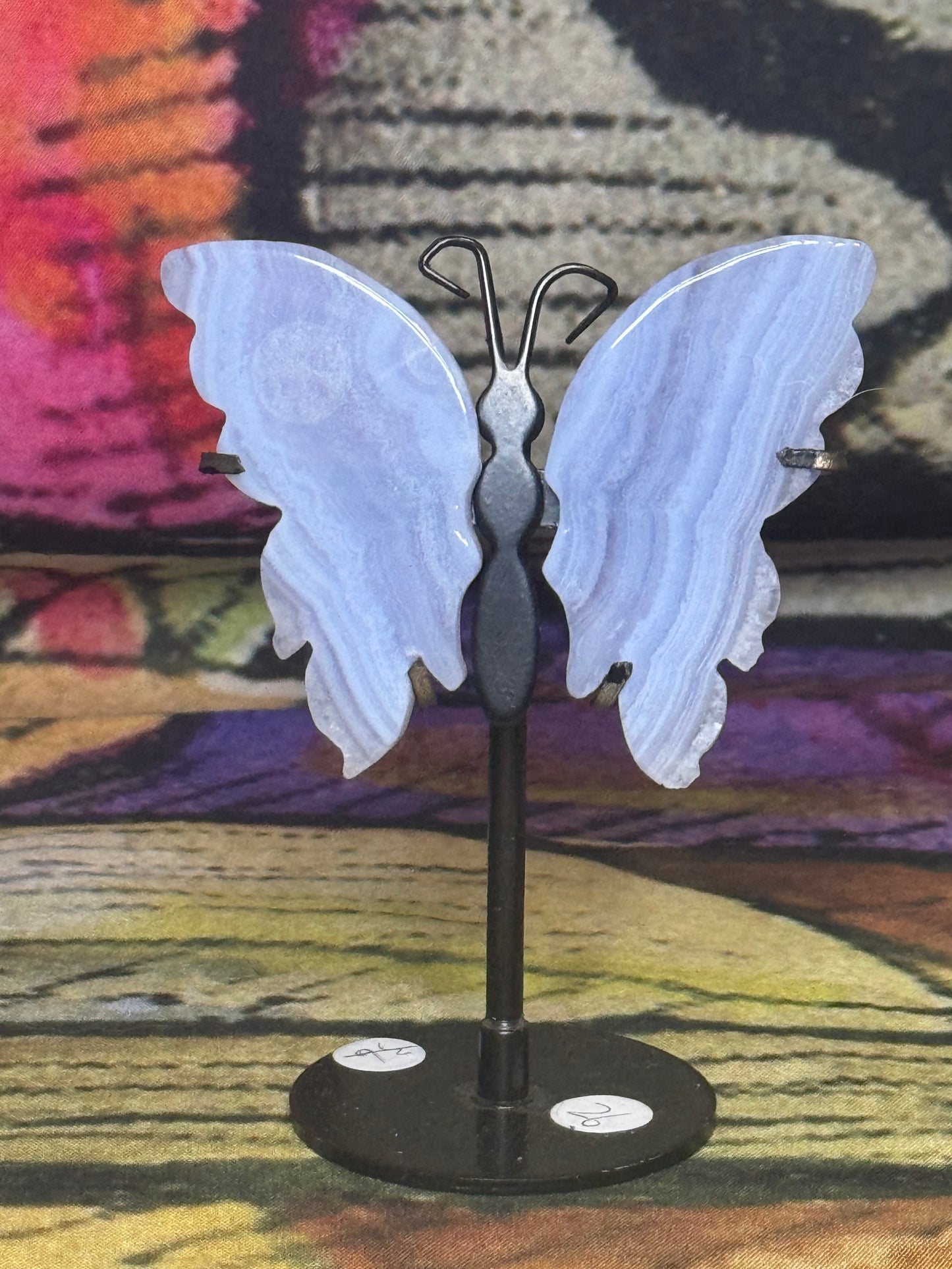 Bluelace Butterfly