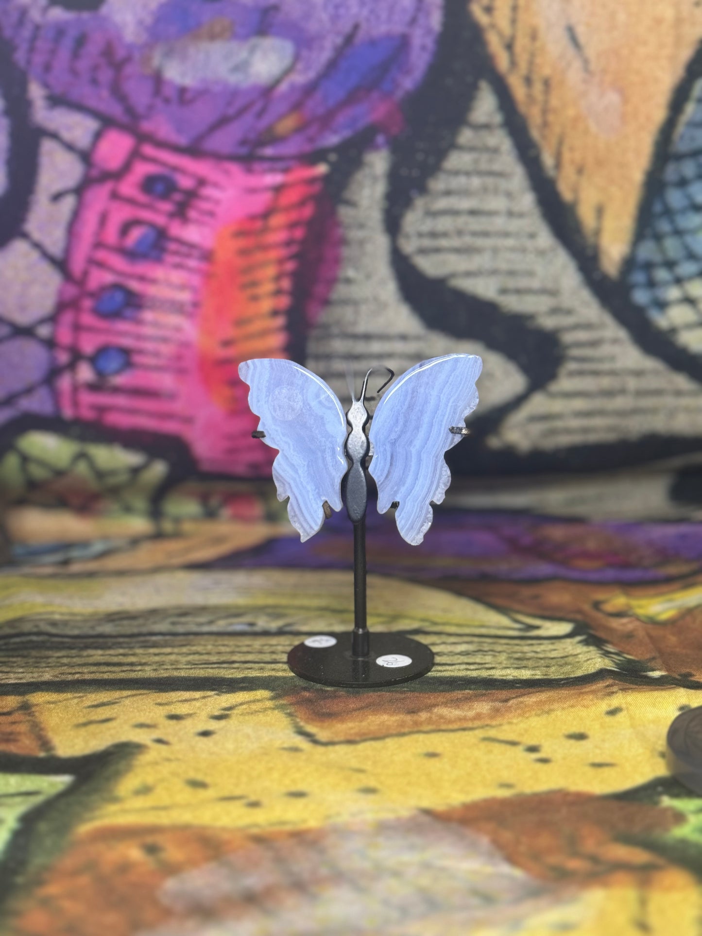 Bluelace Butterfly