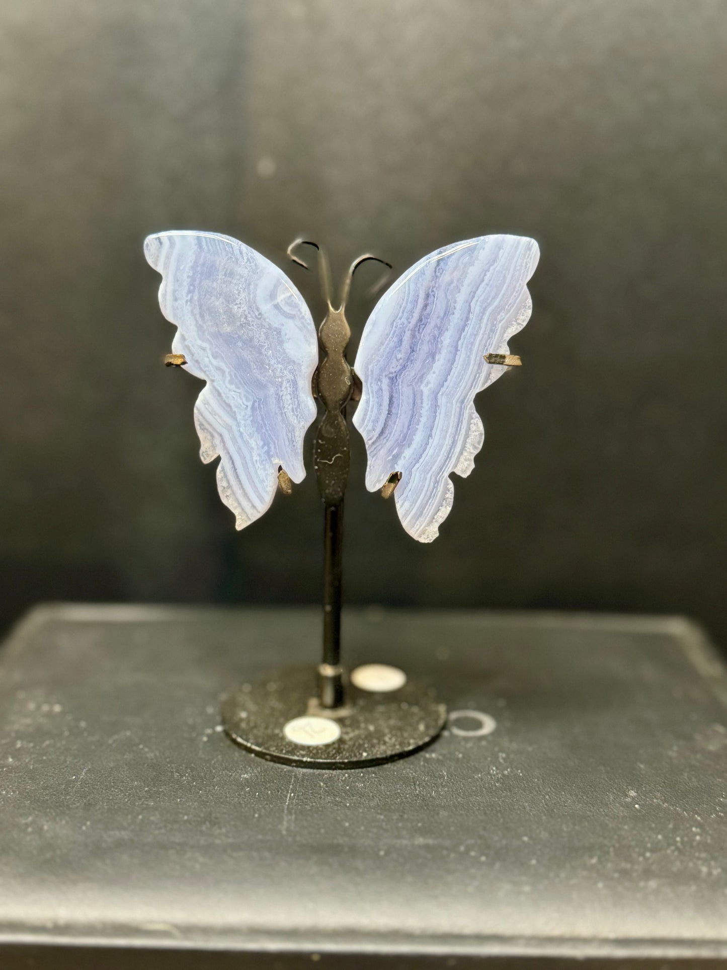 Bluelace Butterfly