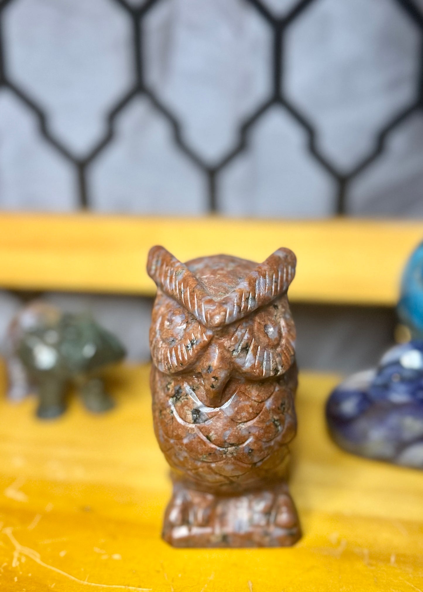 Owl