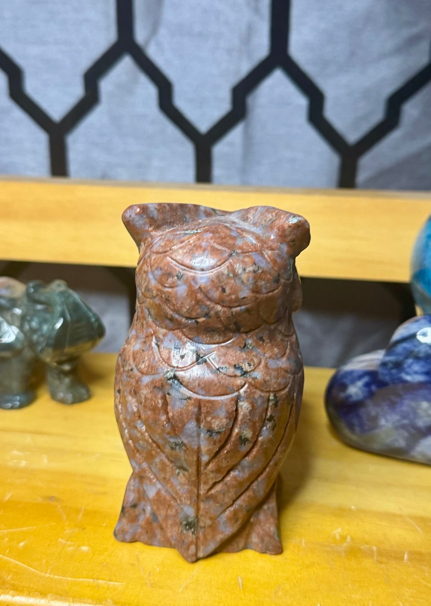 Owl